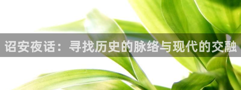 新城平台：诏安夜话：寻找历史的脉络与现代的交融