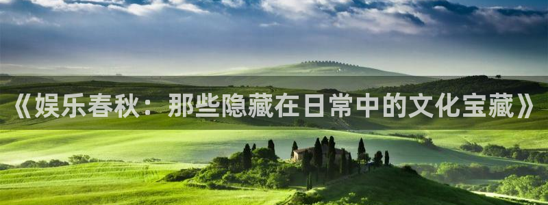 新城平台官网：《娱乐春秋：那些隐藏在日常中的文化宝藏》