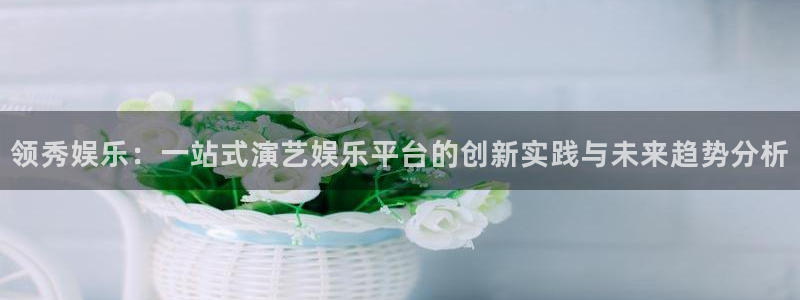 新城平台网页版登录：领秀娱乐：一站式演艺娱乐平台的创新实践与未来趋势分析