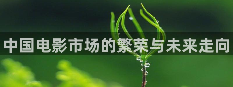新城平台官网：中国电影市场的繁荣与未来走向