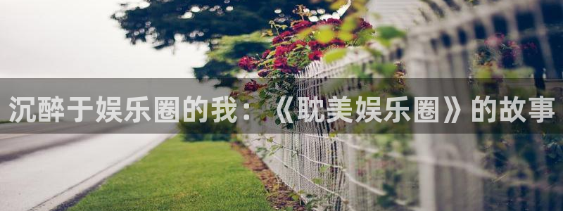 新城平台：沉醉于娱乐圈的我：《耽美娱乐圈》的故事