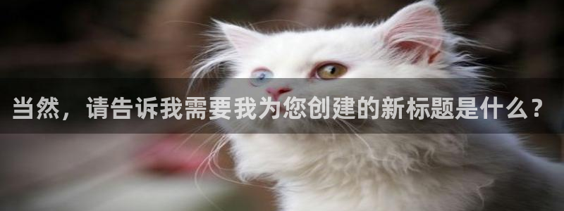 新城平台：当然，请告诉我需要我为您创建的新标题是什么？