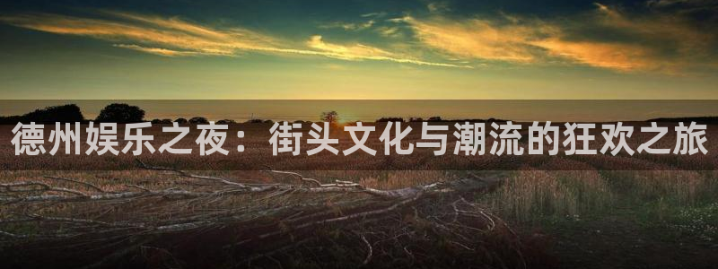 新城平台网页版登录：德州娱乐之夜：街头文化与潮流的狂欢之旅