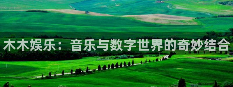 新城平台登录：木木娱乐：音乐与数字世界的奇妙结合