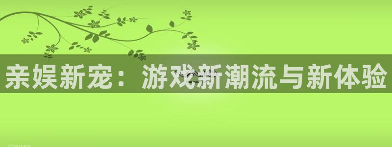 新城平台网页版登录：亲娱新宠：游戏新潮流与新体验