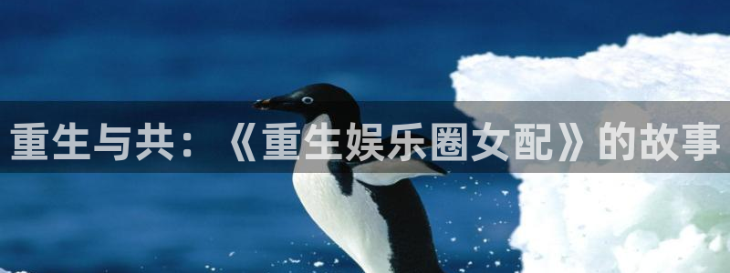 新城平台登录：重生与共：《重生娱乐圈女配》的故事