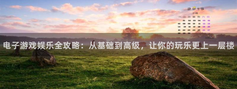 新城平台官网：电子游戏娱乐全攻略：从基础到高级，让你的玩乐更上一层楼